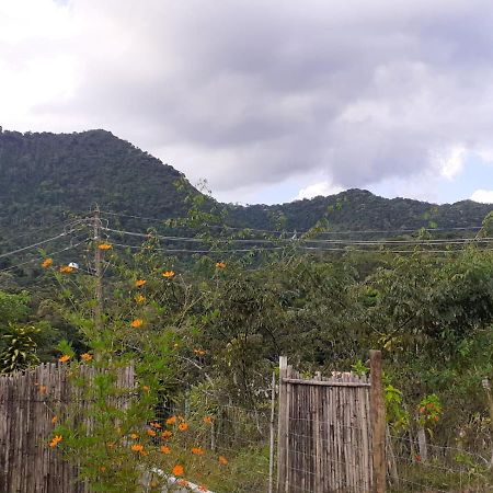 Casa Venus Villa Sao Pedro da Serra  Esterno foto